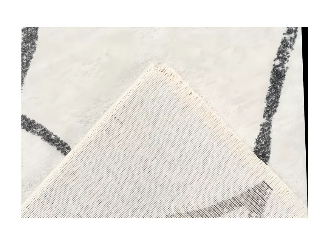 Tapis 230x160cm, design A105R coloris Ivoire - Confort et élégance pour votre intérieur