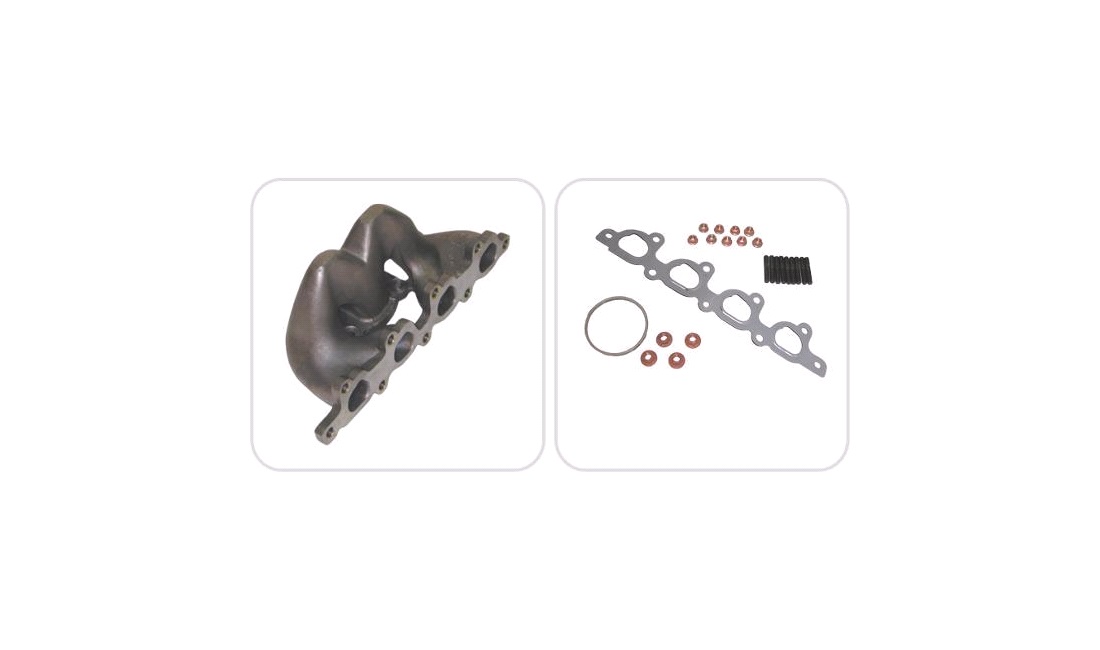 Manifold