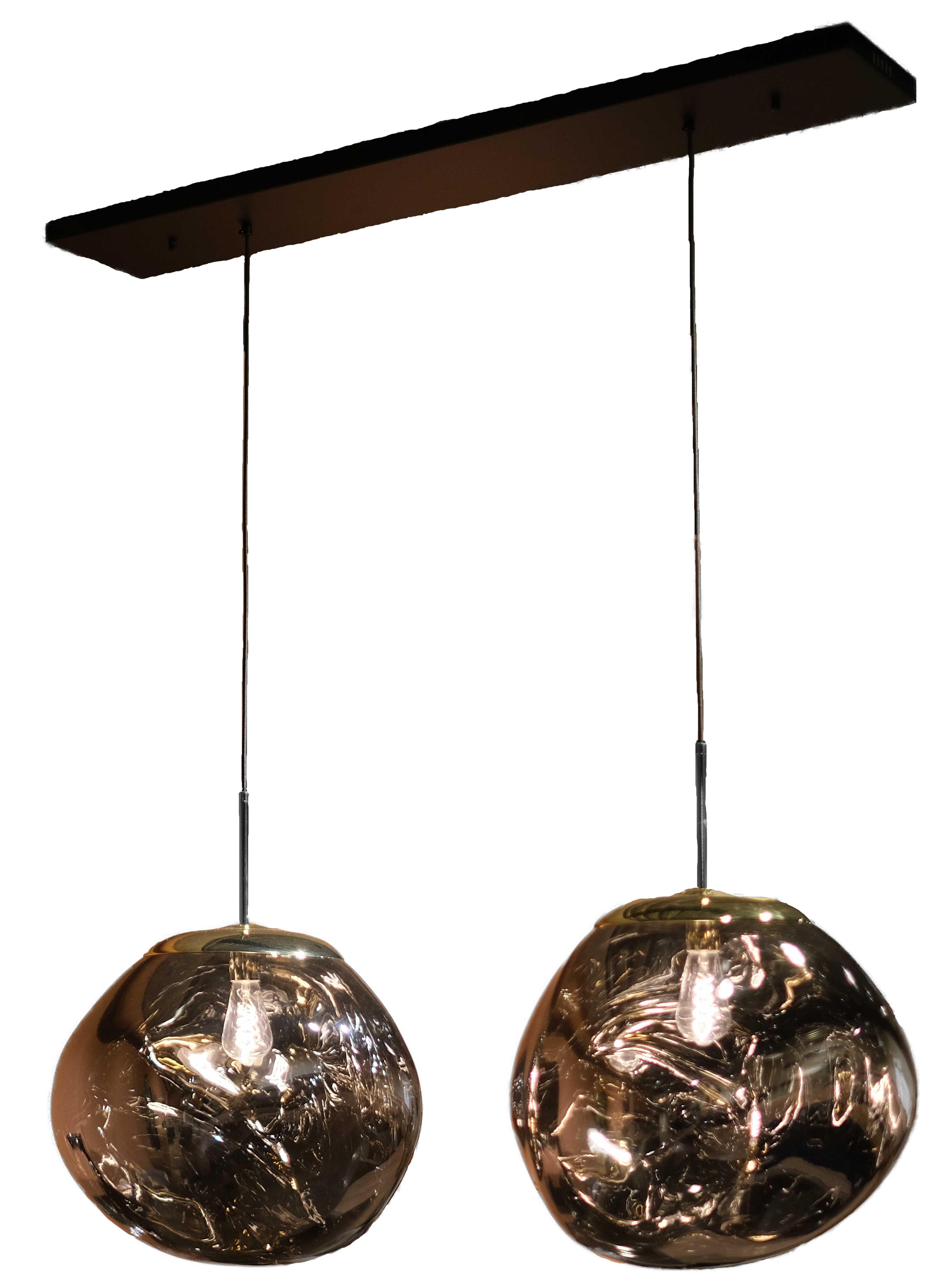 Hanglamp 2-lichts Hrose B120 x D50 cm
