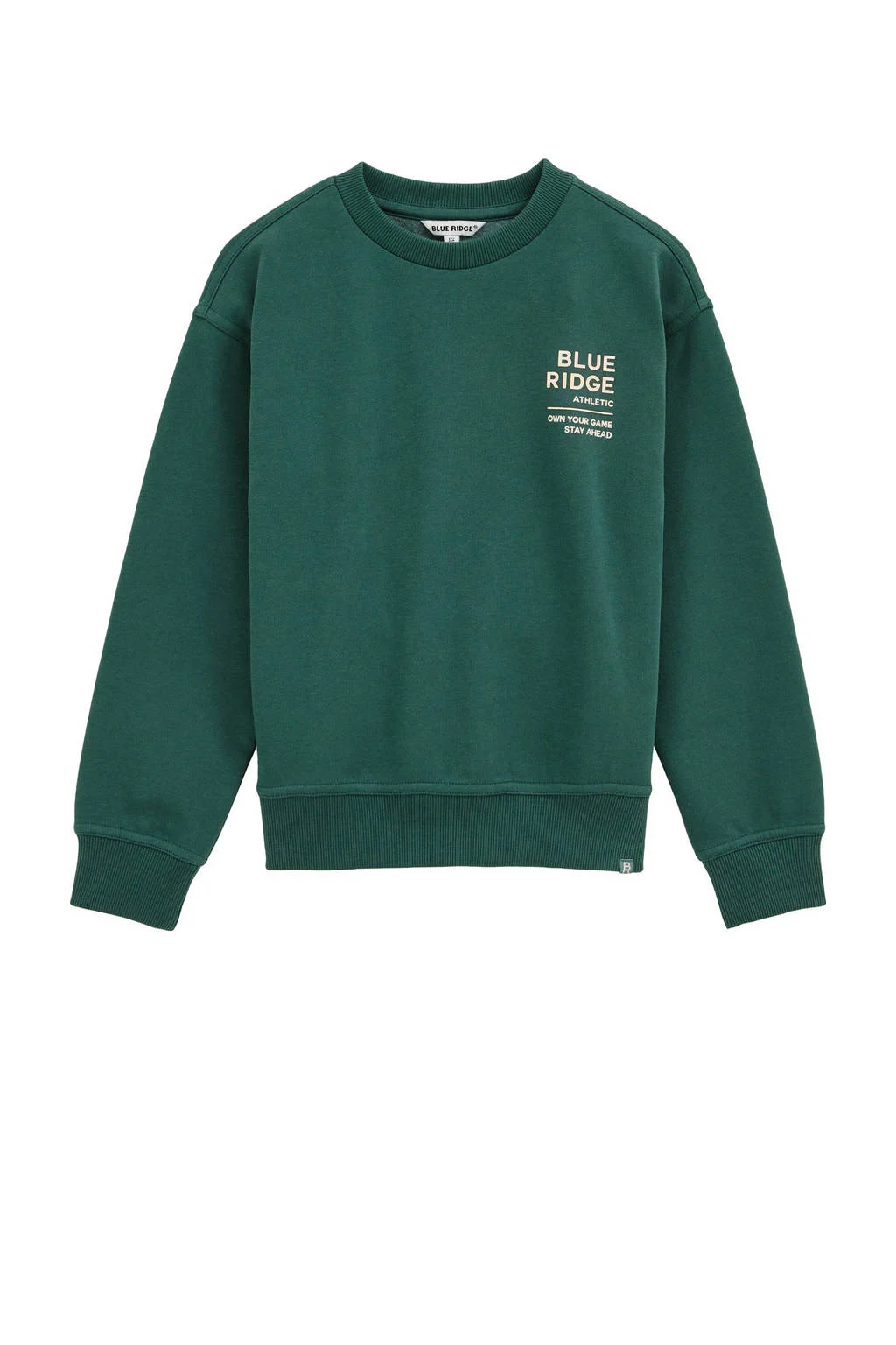 WE Fashion Blue Ridge sweater donkergroen