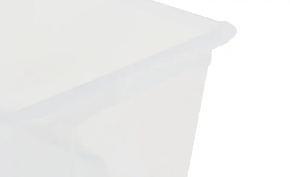 Rotho Aufbewahrungsbox 27,7 cm