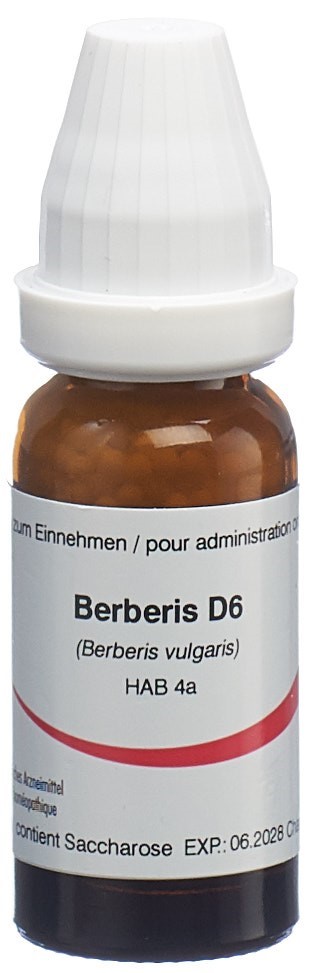 Omida Berberis Glob 6 D 14 g