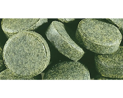 Sera Spirulina Tabletten (24 tabletten)