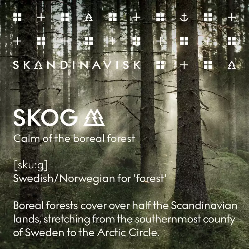 SKANDINAVISK SKOG Scented Candle 200 gr. - Special Edition