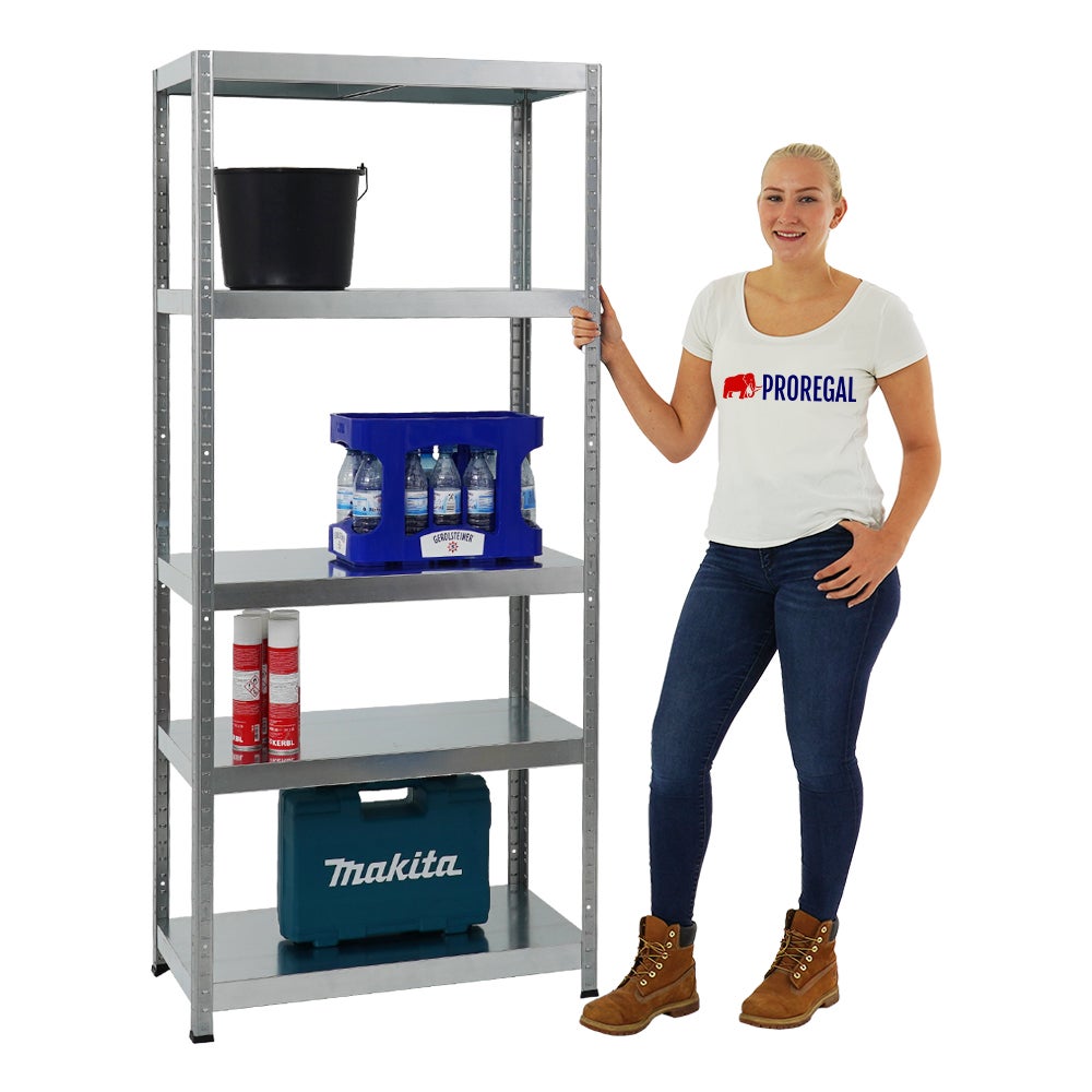 PROREGAL Heavy-Duty Stellingkast Steel Eagle HxBxD 180 x 80 x 40 cm Plankdraagvermogen 130 kg Gegalvaniseerd