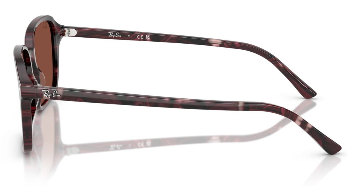 Ray-Ban<br>Raimond