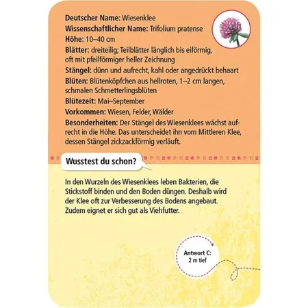 moses. Expedition Natur 50 heimische Blumen