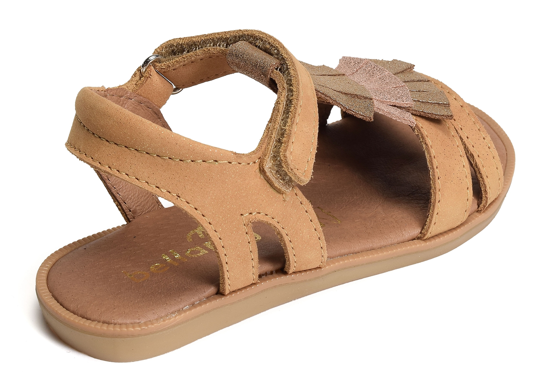 Erica camel