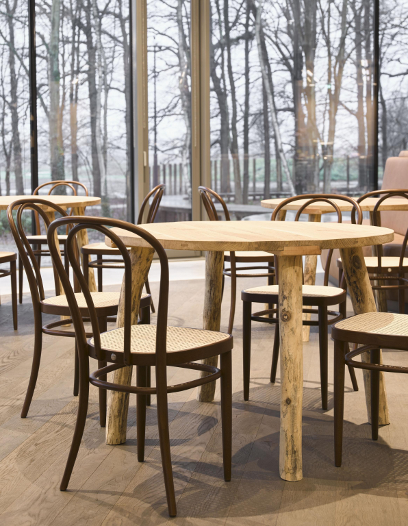 Thonet 218 eetkamerstoel licht beuken