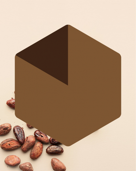 Tablette Madagascar Criollo & Trinitario Chocolat Noir 75% | Le Chocolat Alain Ducasse 75g