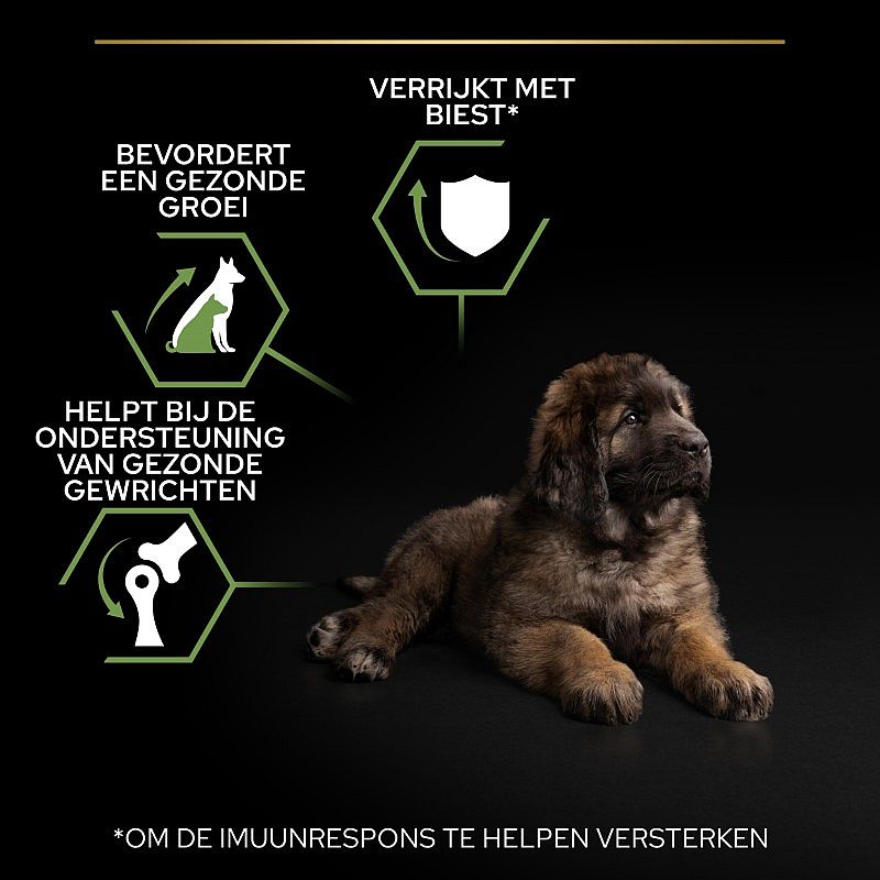 Purina Pro Plan Large Robust Puppy Healthy Start Hondenvoer 12 kg | 12815
