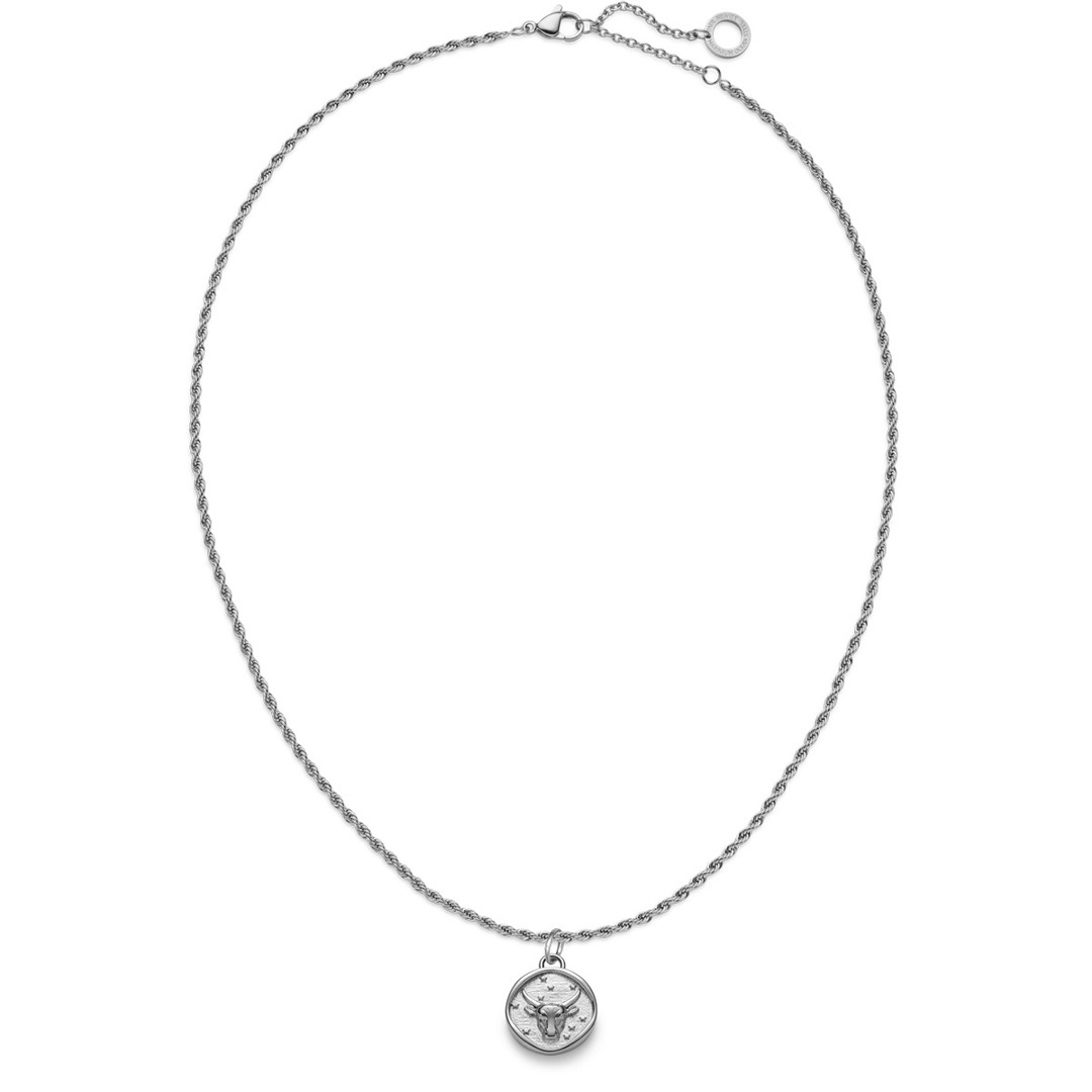 Paul Hewitt Taurus Charm Silbrig