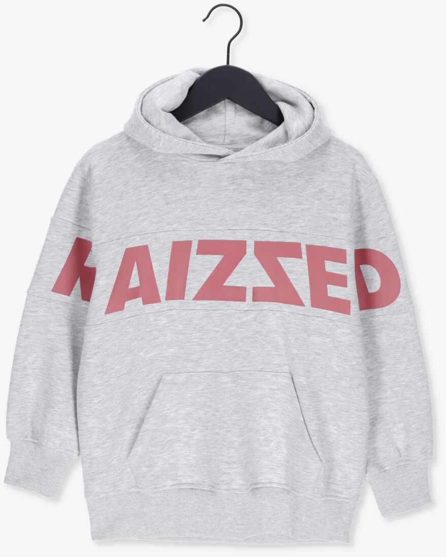 RAIZZED grijze raizzed sweater newark