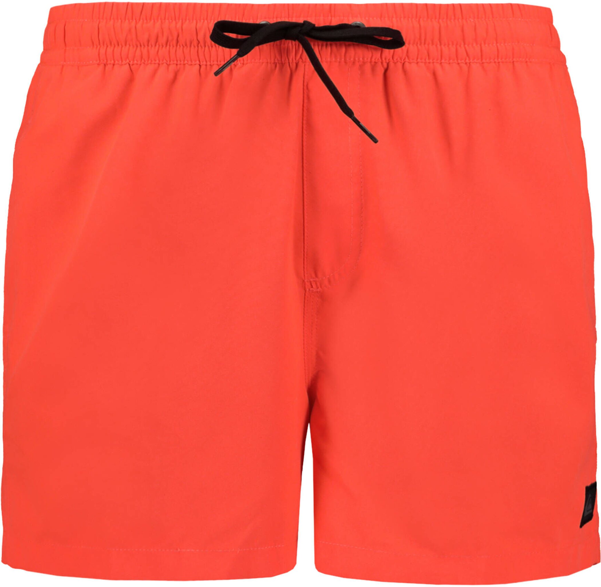 Quicksilver Everyday Volley 15