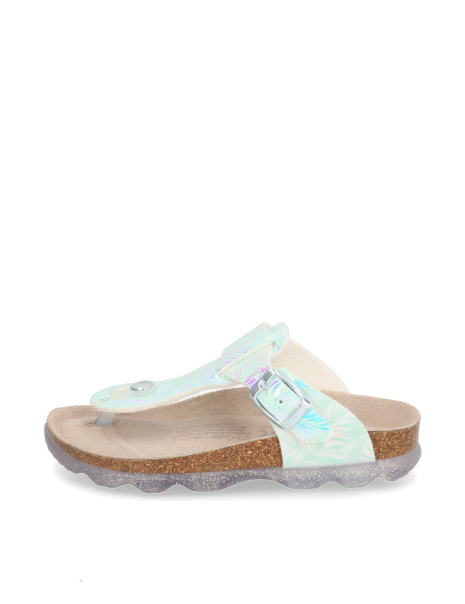 Jellies