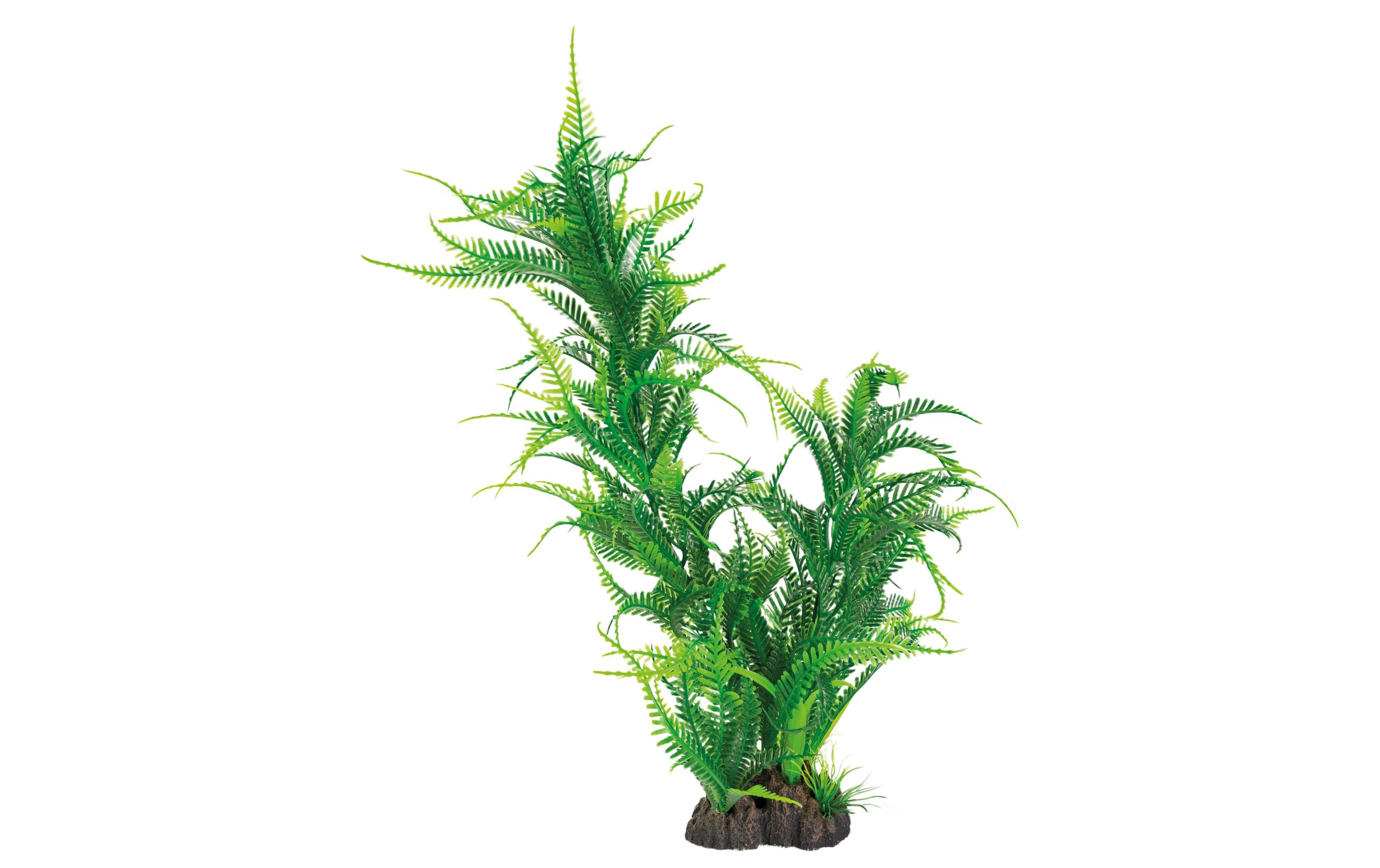 Kunstpflanze Microsorum, 40 cmWunderschöne, realistisch aussehende Kunstpfanze