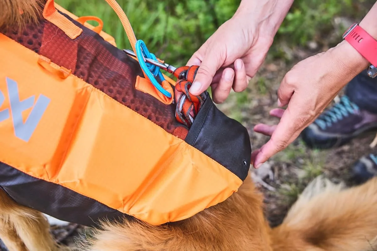 Non-stop Dogwear Protector Life Jacket Size 2-4 Black/Orange