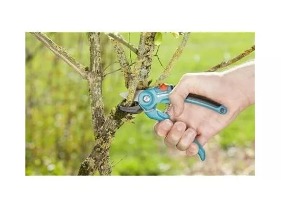 Sécateur a enclume Classic A/S – Ø18mm max – Lames affûtées a enclume antiadhésives – Garantie 25 ans