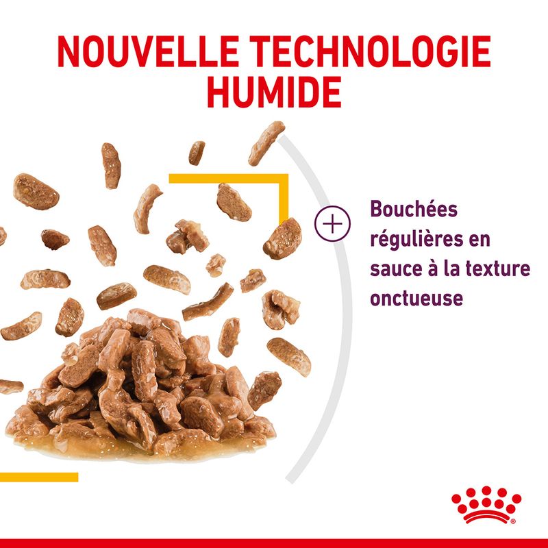 Royal Canin Sensory Taste en sauce