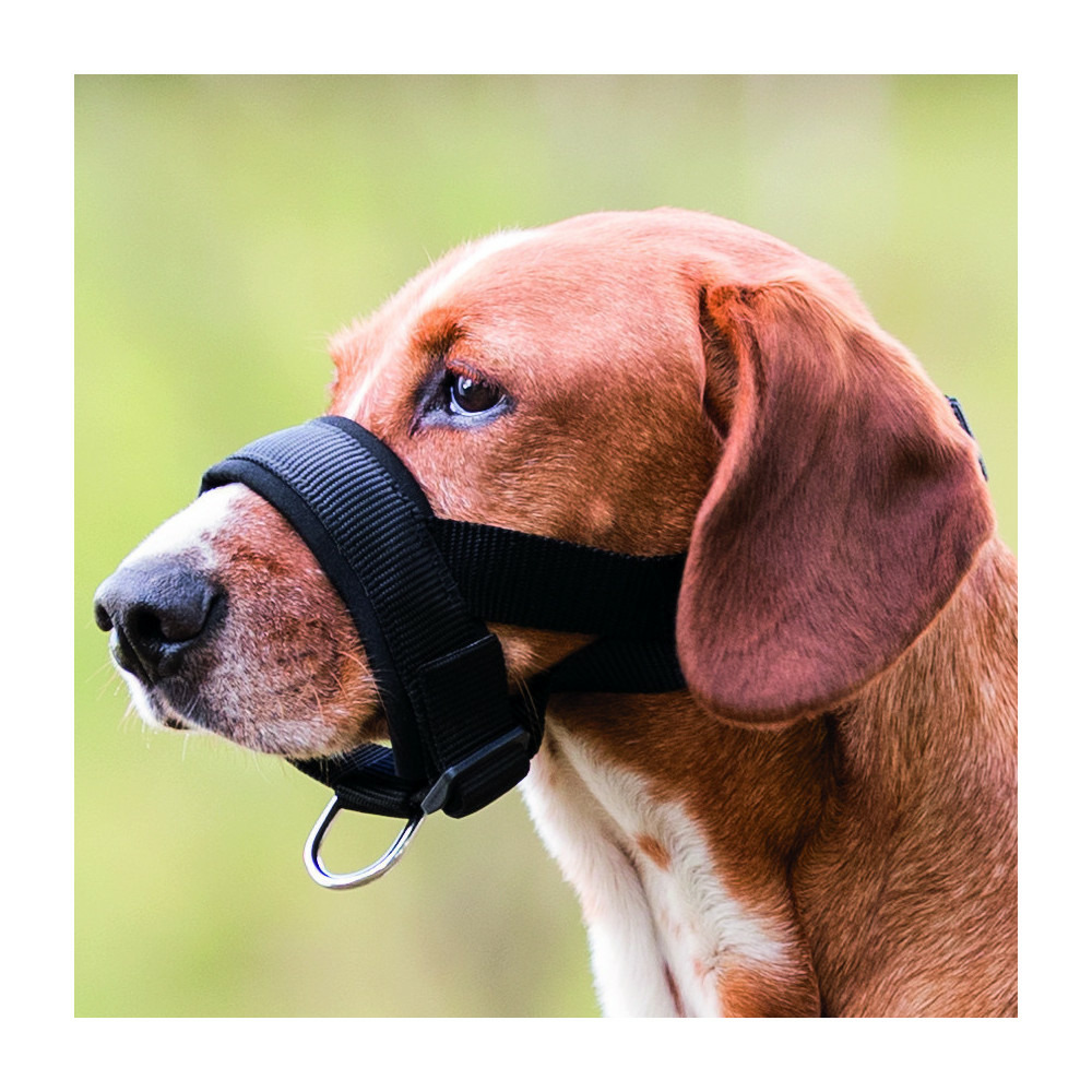 Muselière sangle taille m-l pour chien beagle, dalmatien