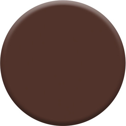 Bombe peinture 400 ml Color Touch Brillant - Brun Chataîgne