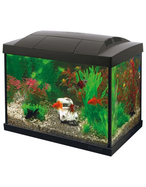 Superfish Aquarium Start 20 Goldfish Kit Led 16 l - Aquaria