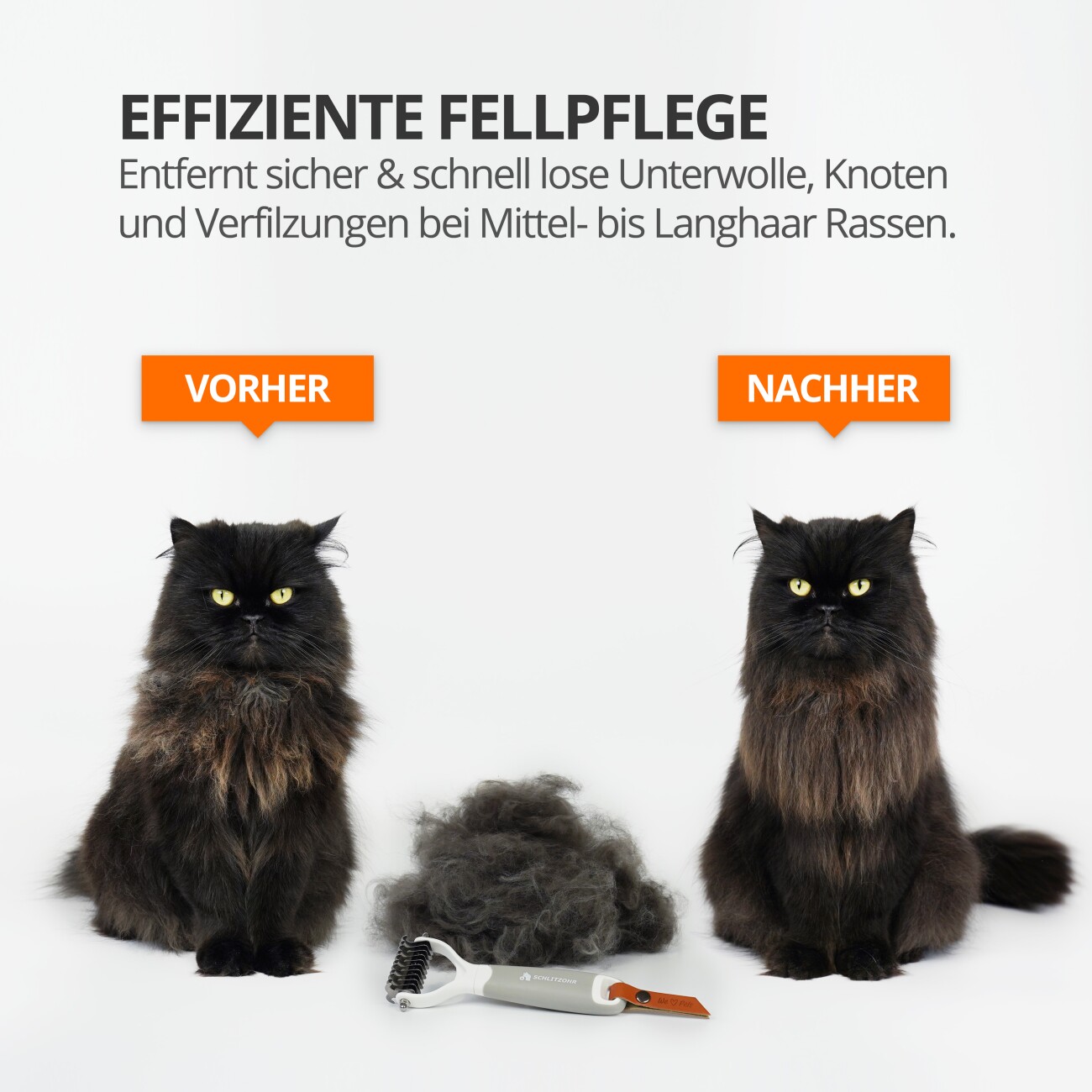 Schlitzohr Unterfellbürste Cookie