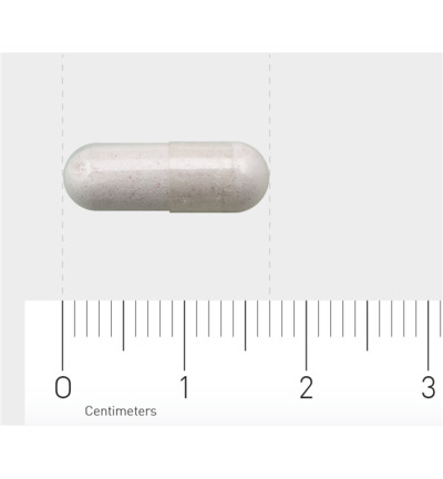 AOV 250 Vitamine B12 & foliumzuur (60 vega capsules)