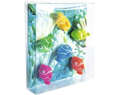Nemo decoratieve magneten, set van 6