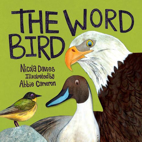 The Word Bird - Animal Surprises 3 (Paperback)