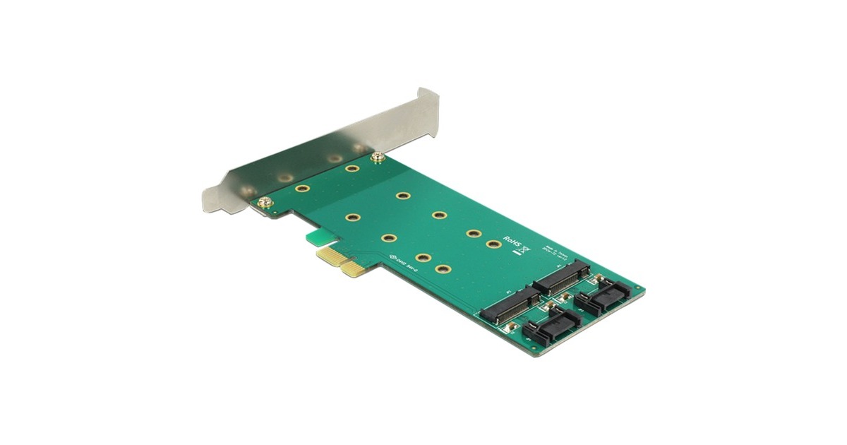 DeLOCKPCI Express Card > 2 x internal M.2 Key B 110 mm - Low Profile Form Factor adapter