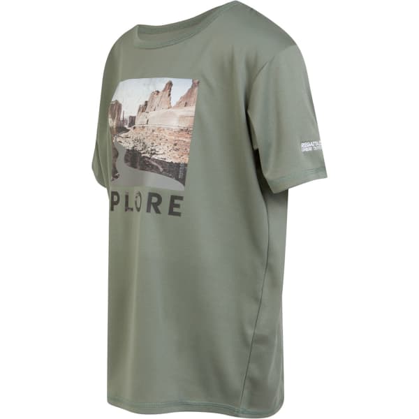 T-shirt randonnée REGATTA ALVARADO VIII AGAVE GREEN