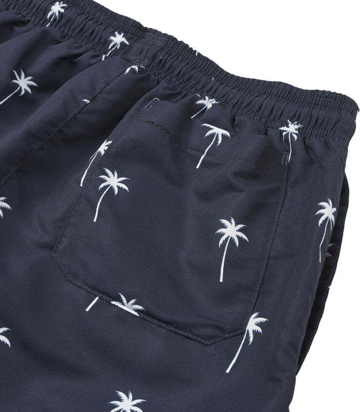 Firefly Monaco Badeshorts Blå