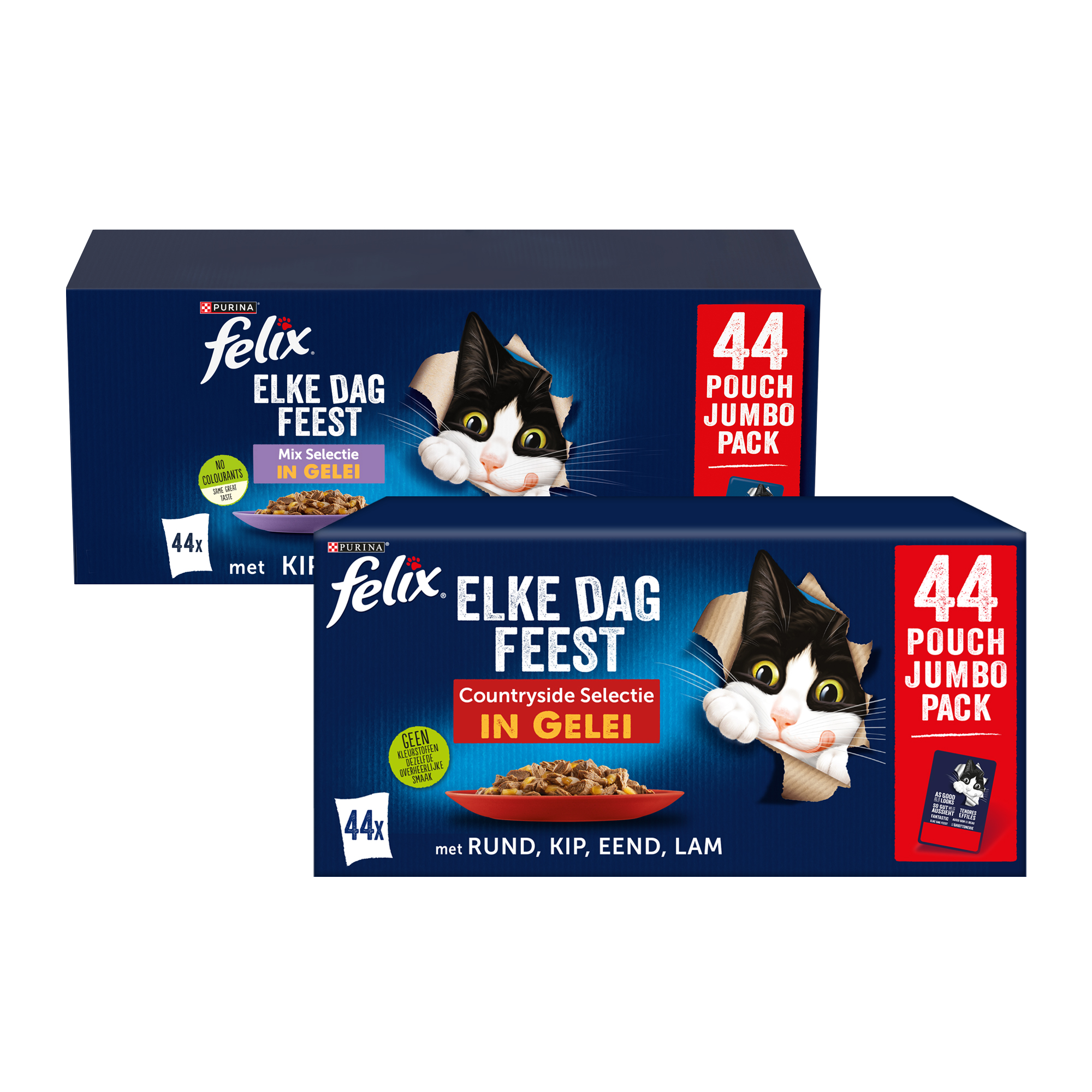 Felix Elke Dag Feest in Gelei
