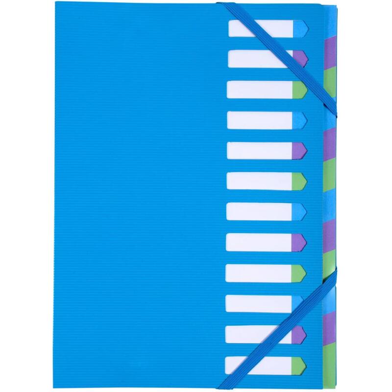 Trieur rigide HARMONIKA® Campus Neon dos extensible 12 compartiments - Bleu