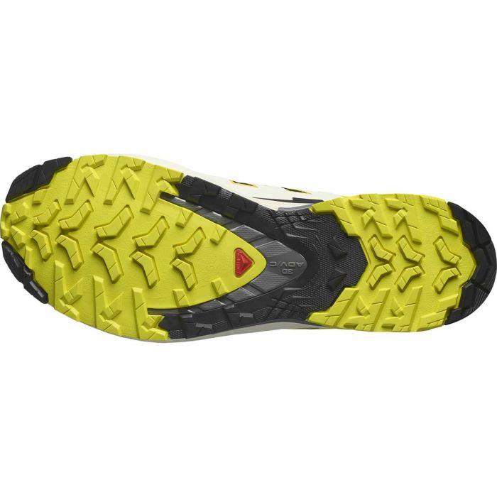 XA Pro 3D V9 GTX Men herresko