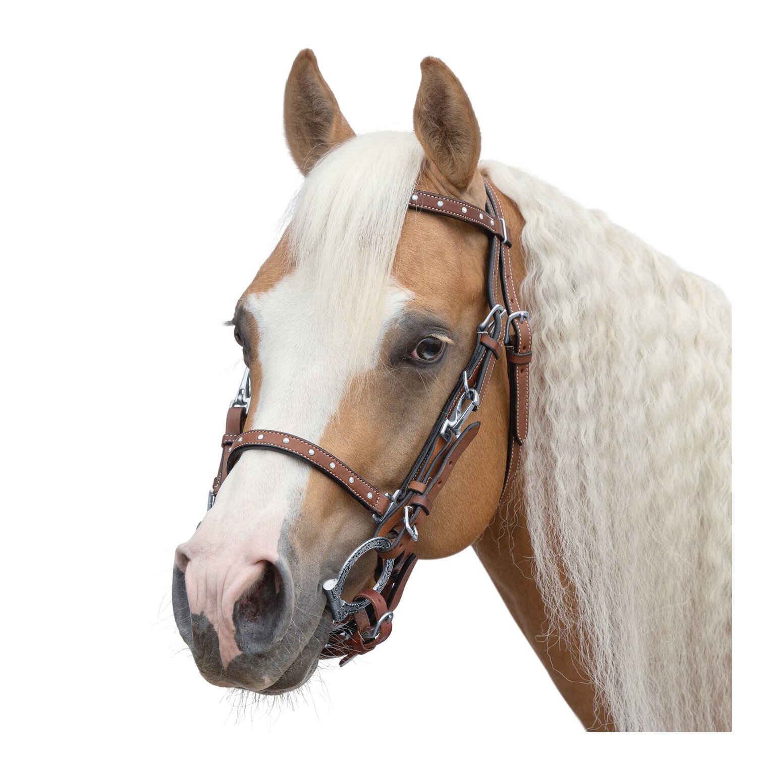 L-pro West Wanderreittrense mit Steinchen  - lightbrown