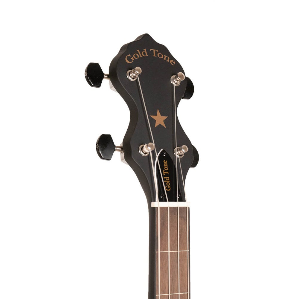 Gold Tone AC-12 5-snarige open back banjo met gigbag