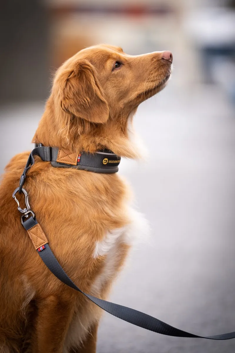 Seleverkstedet Seleverkstedet Link Dog lead 20mm Grå/brun