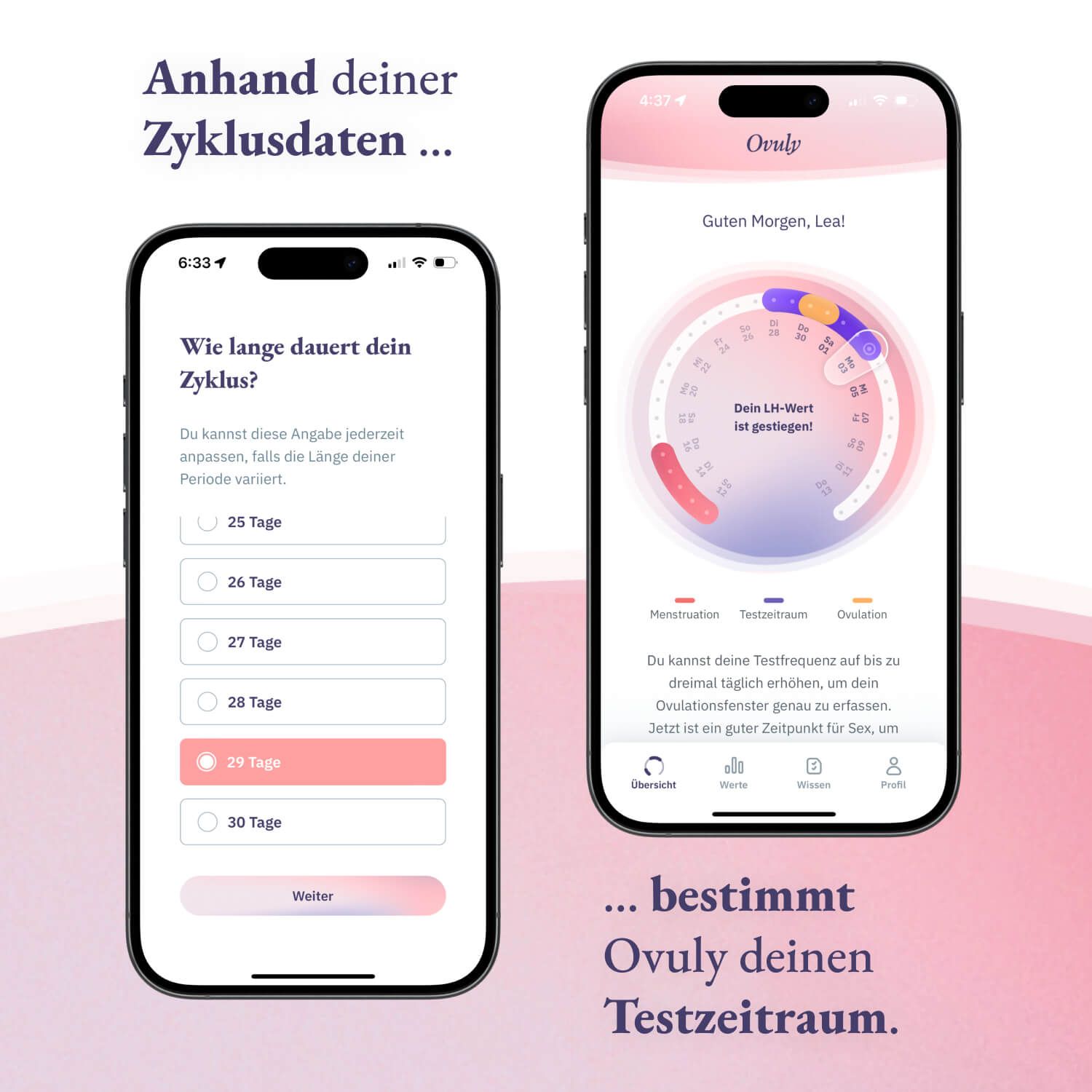 Ovuly - 50 Ovulationsteststreifen mit App