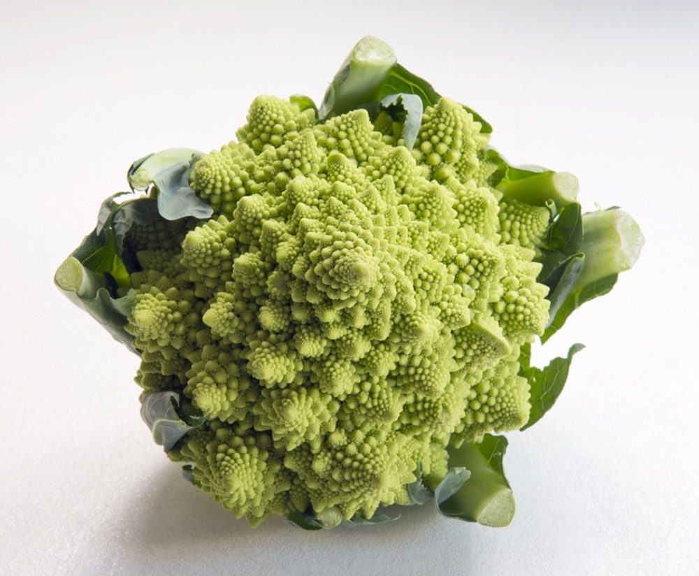 Sachet de graines de chou brocolis romanesco - sachet de 1 grammes - petite entreprise française - made in france
