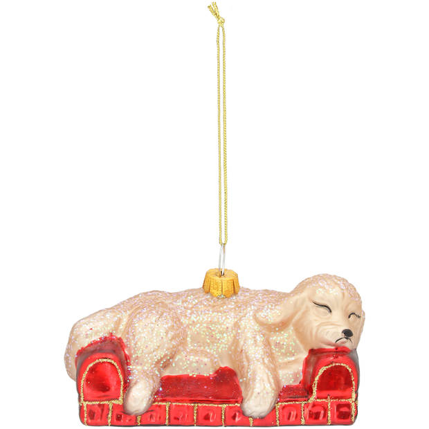 Blokker Funbal - Labrador in Mand