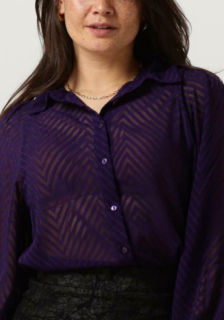 FREEBIRD paarse freebird blouse wv-zigzag-jacq-pes-23-3