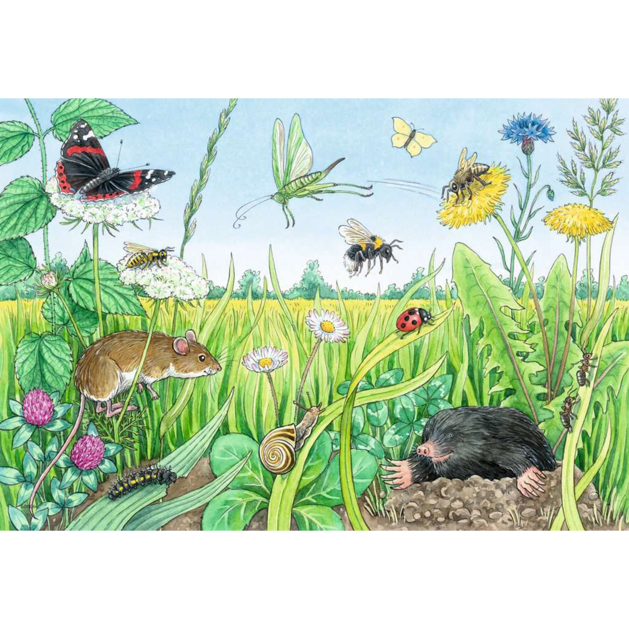 Ravensburger Puzzle Wieso? Weshalb? Warum? Tiere im Wald und auf der Wiese