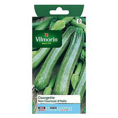 Graines de Courgette Verte non coureuse d' Italie