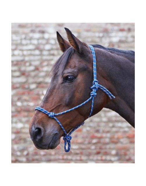 Waldhausen Knot Halter Navy&Taupe - Paardenhalster