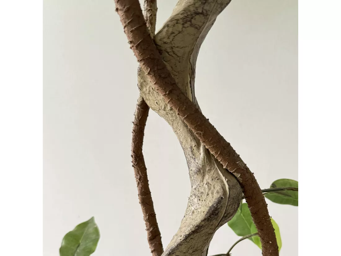 Plante artificielle Ficus Akdem 120x40x40 PEVA Polyéthylène Vert Marron
