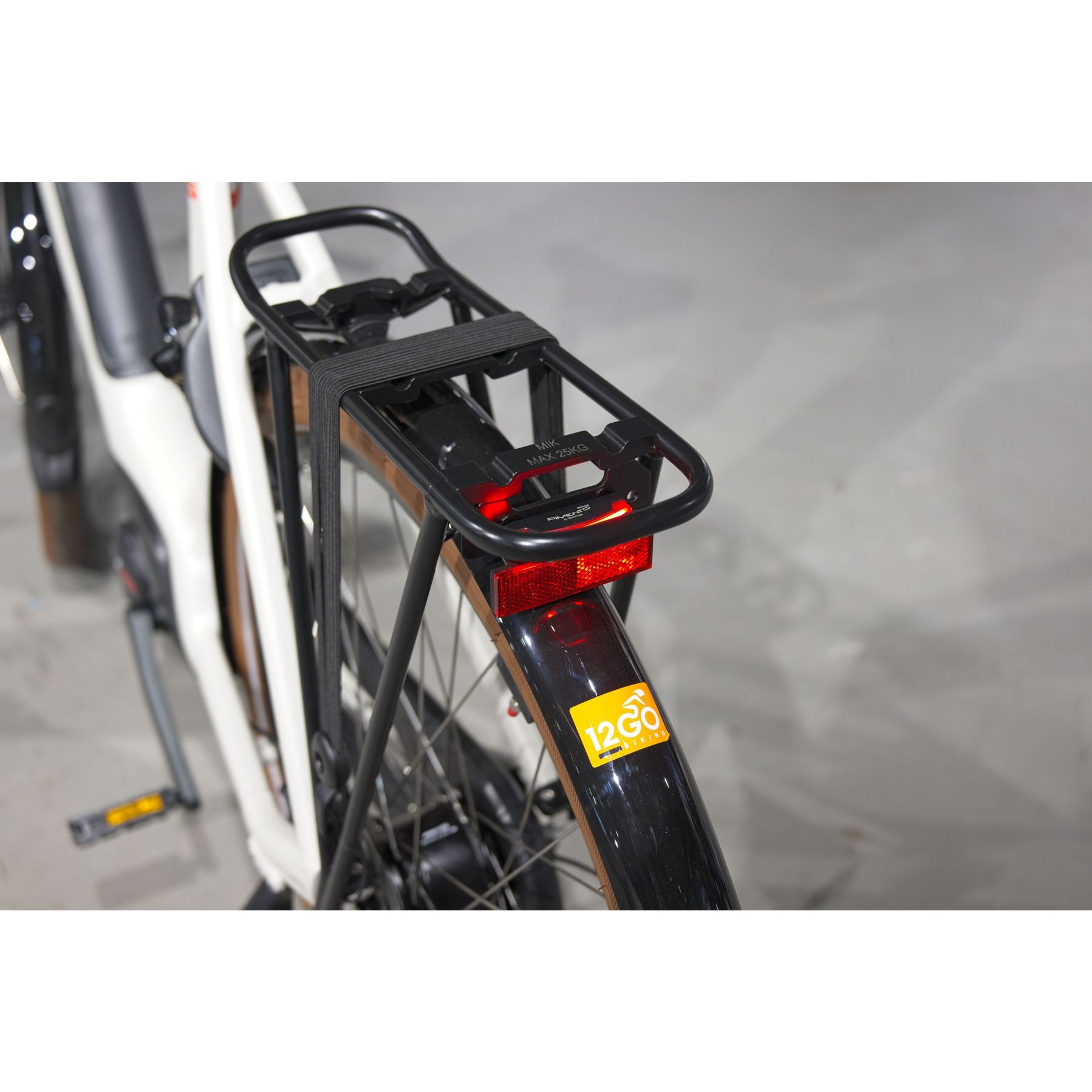 Batavus Altura E-Go Power Pro 2025