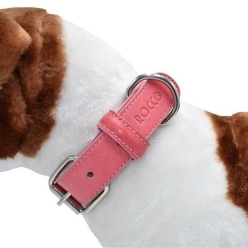 Coleira rosa para cães Loyal Rocco