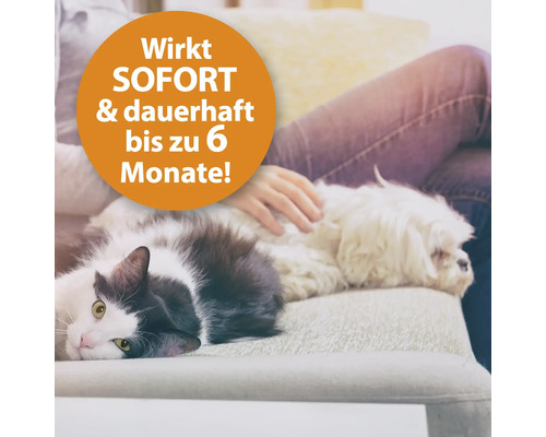 ARDAP Fogger 200ml insectenspray vernevelaar tegen vliegen, tweevleugeligen en insecten zoals vlooien, teken, mijten, luizen, kakkerlakken, motten en spinnen tot 60 m², werkt direct en tot 6 maanden lang